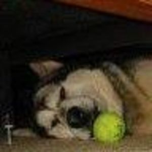 Meet your Posher, Sharon